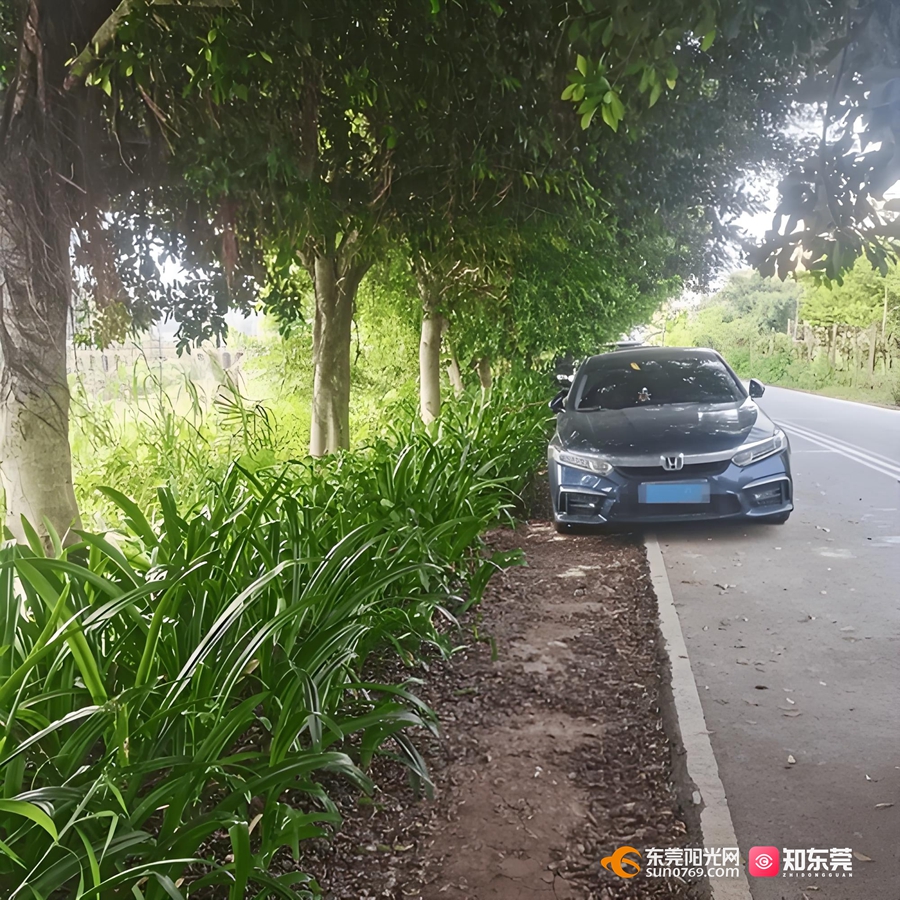 1746496828768959.jpg 0.jpg