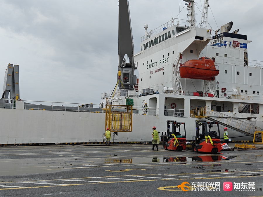 1746600384434649.jpg 4.jpg