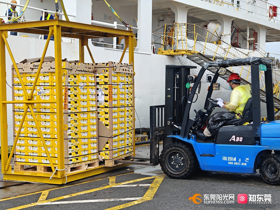 1746600528356888.jpg 6.jpg