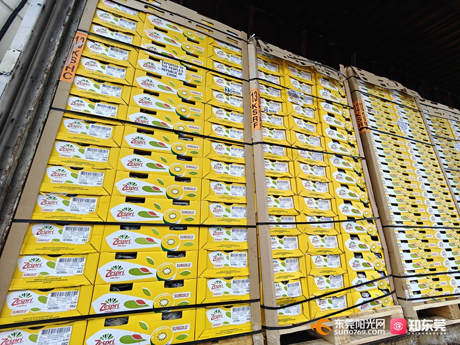 1746600441583200.jpg 5.jpg