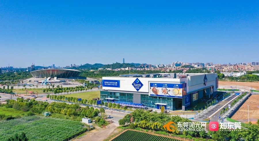 1746773632519039.jpg 01.jpg