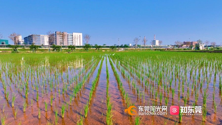 1747382457317299.jpg 微信图片_20250516155721.jpg