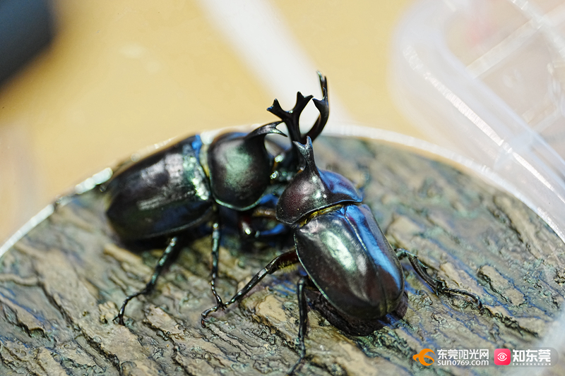 1748161975190284.jpg 微信图片_20250525161401.jpg