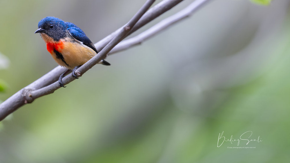 1748168777348103.jpg 微信图片_20250525182520.jpg