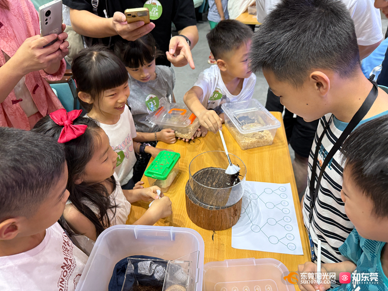 1748166282337978.jpg 微信图片_20250525161519.jpg