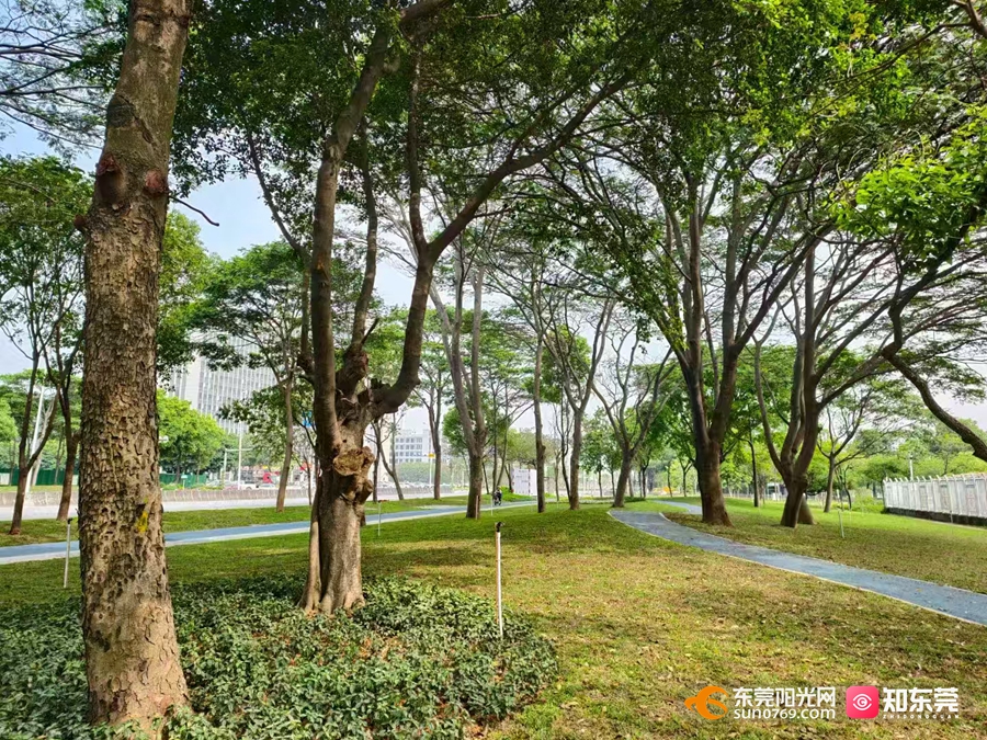 1748576176756638.jpg 港口大道一带道路升级改造2.jpg