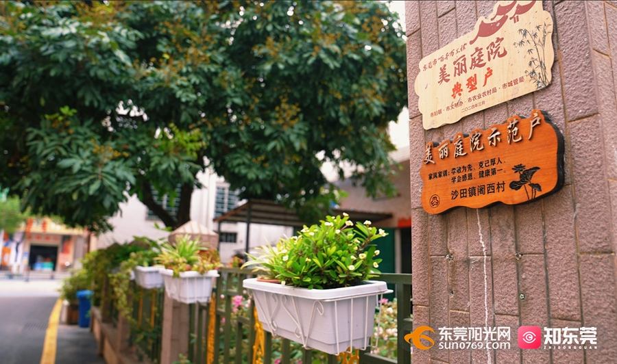 1748576743558003.jpg 阇西村美丽庭院.jpg