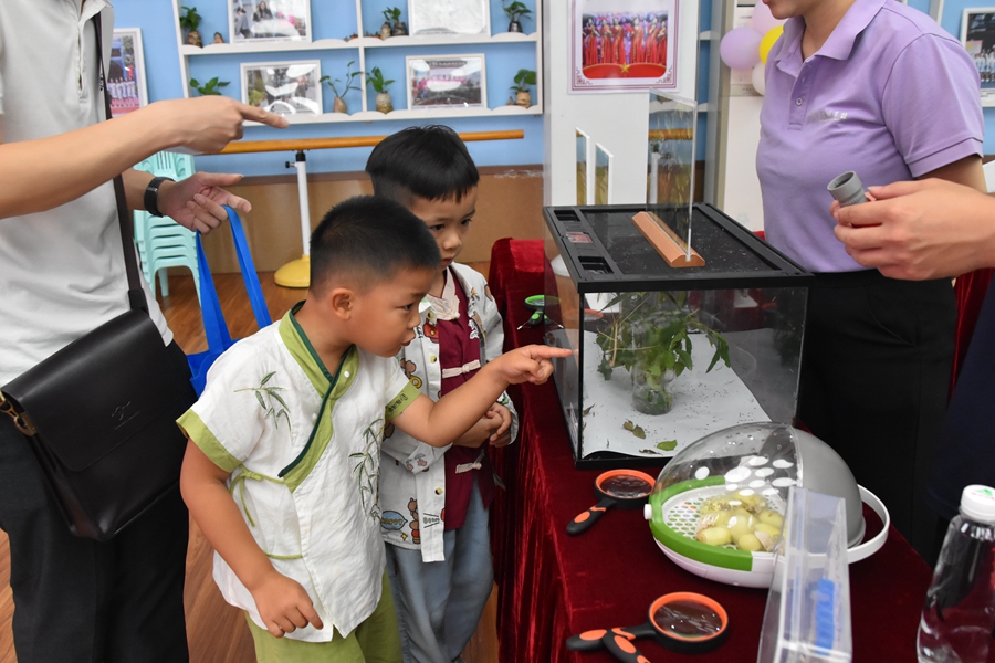 1748610665422855.jpg DSC_0462.JPG