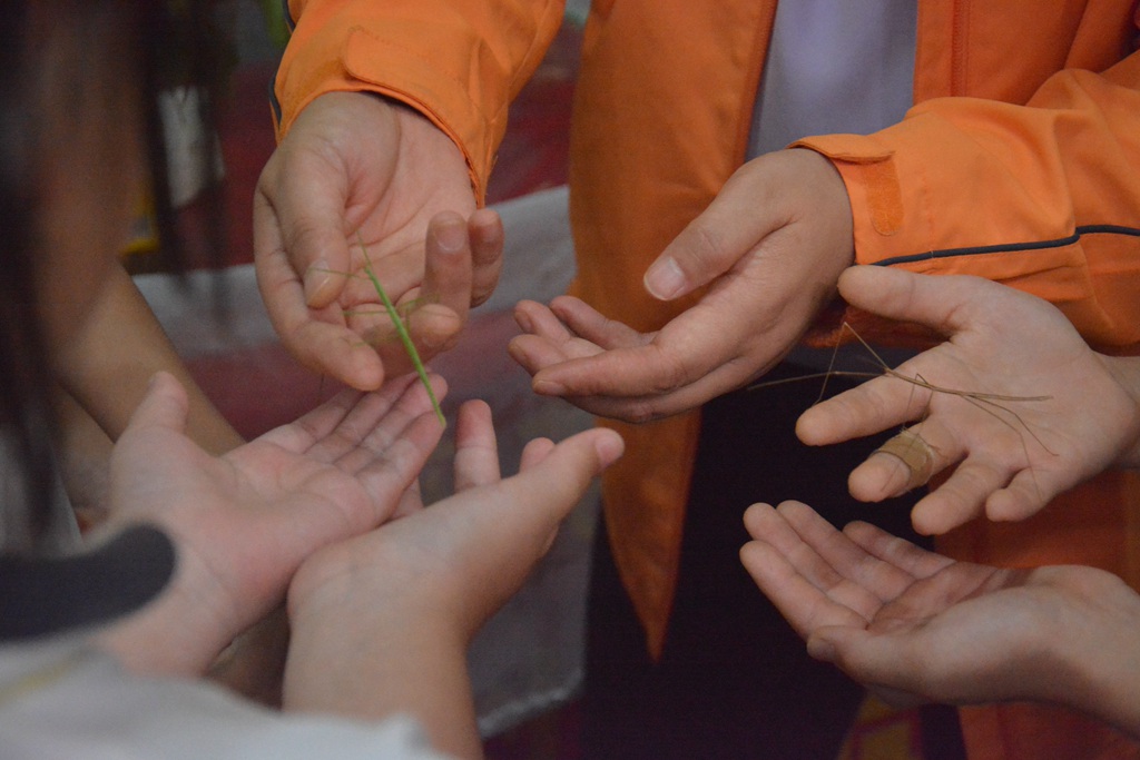 1748652440569032.jpg 微信图片_20250531084315.jpg