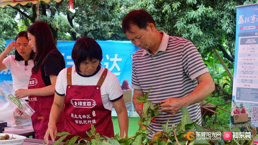 1748596084771381.jpg 1.jpg