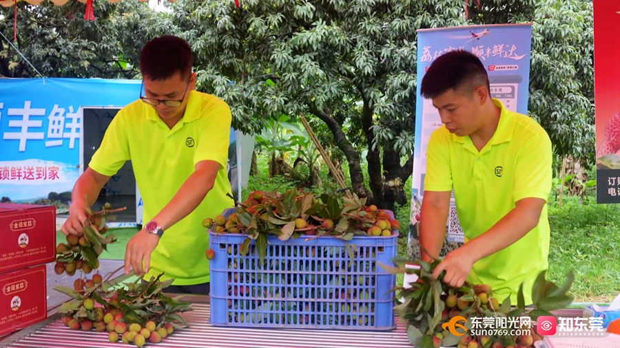 1748596400294266.jpg 3.jpg