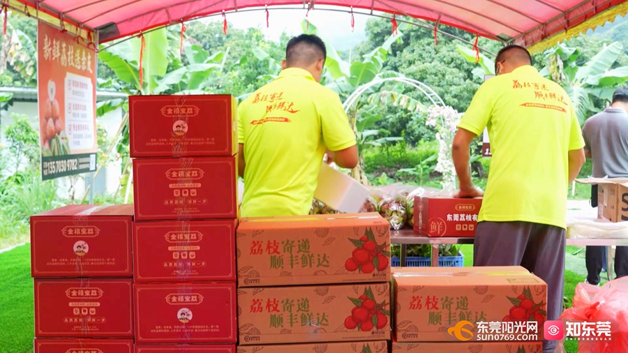 1748596681247037.jpg 5.jpg