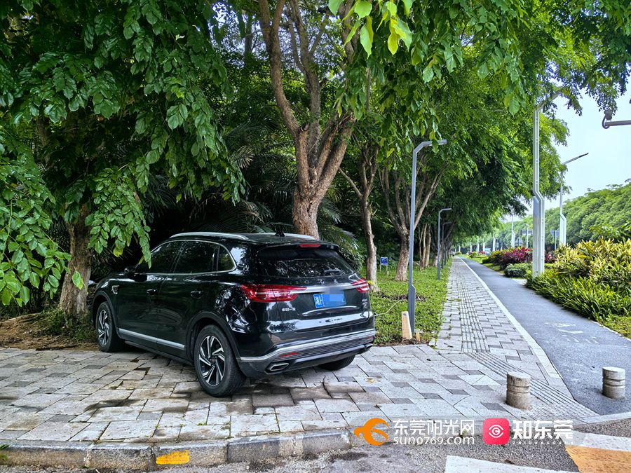 1748846177980619.jpg 微信图片_20250602143153.jpg