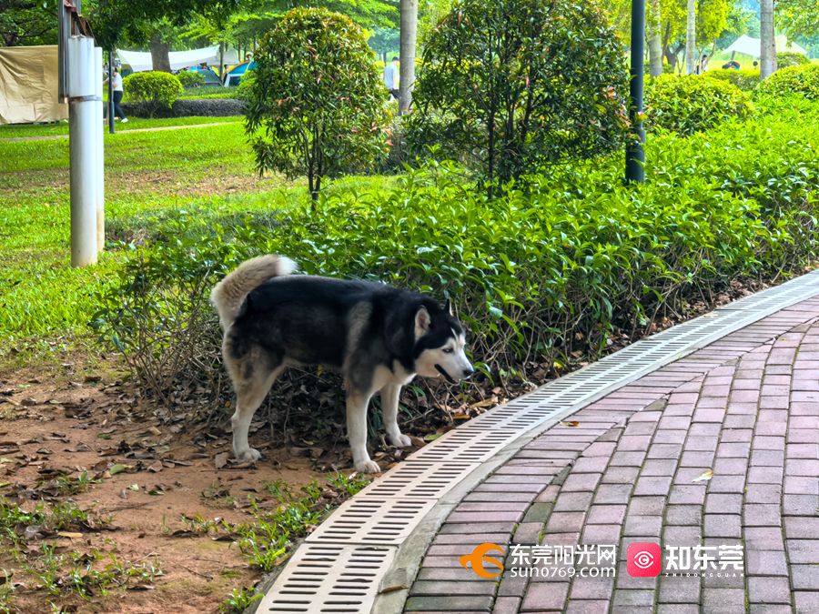 1748846225472005.jpg 微信图片_20250602143232.jpg