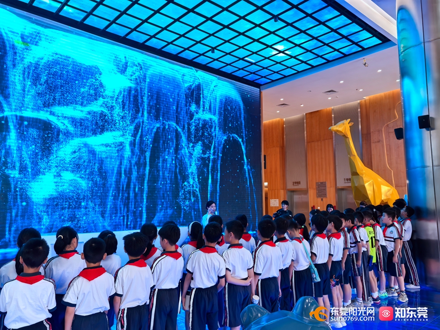 1749021450378460.jpg 3.jpg