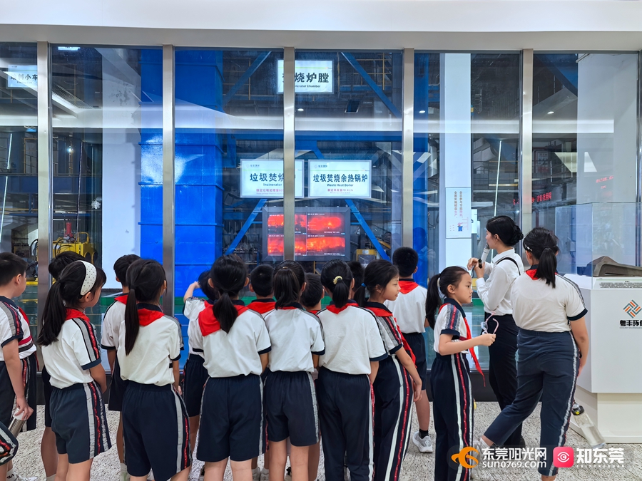 1749021477746770.jpg 5.jpg