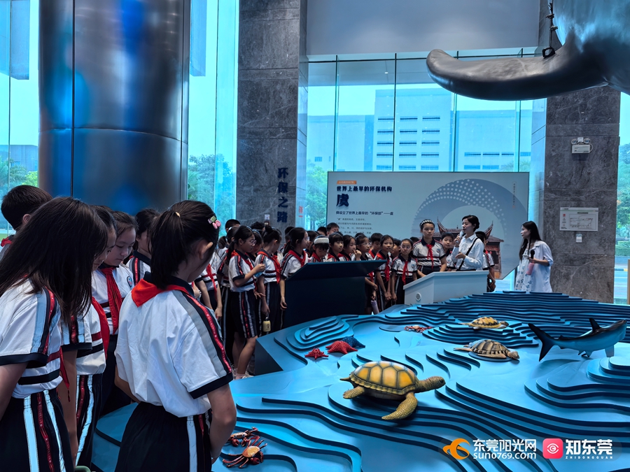 1749021459623134.jpg 4.jpg