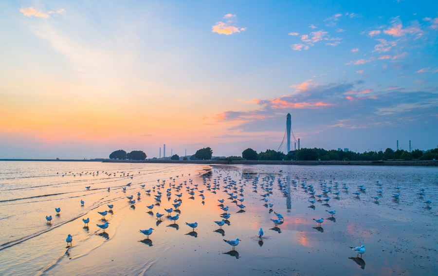 1748318569243709.jpg 5e84ab21fcdf0257439fd32cedea50d.jpg