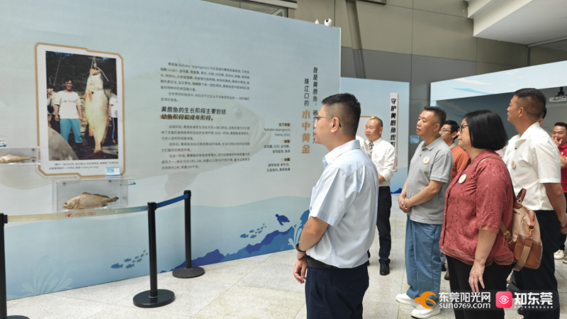 1749370864591733.jpg 微信图片_20250608161724.jpg