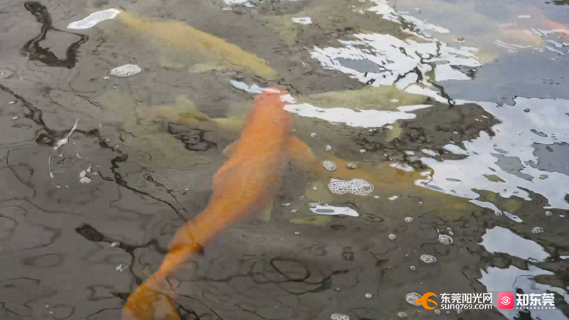 6月9日 (万江奋进相机).mp4_20250611_113451.148.jpg