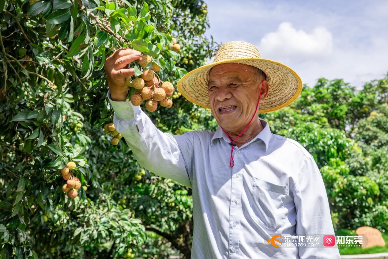 1749723737710395.jpg 图片1.jpg