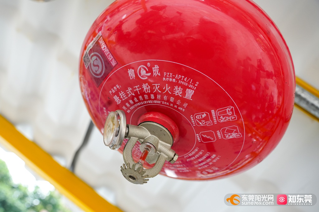 1749867225611262.jpg 20256139028.jpg