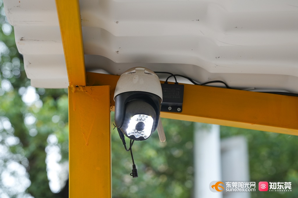 1749867234338782.jpg 20256139034.jpg