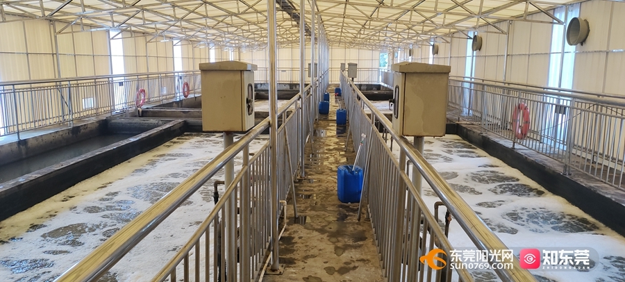 1750039428290474.jpg 2.jpg