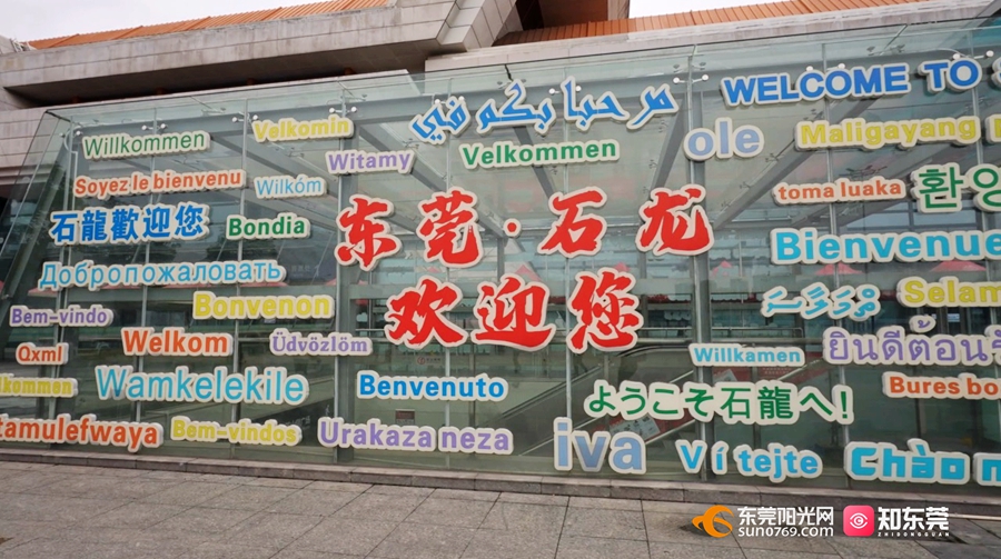 1750042072269227.jpg 01.jpg