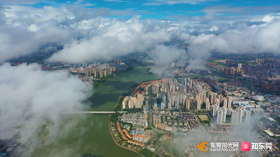 1750042712610799.jpg 04.jpg