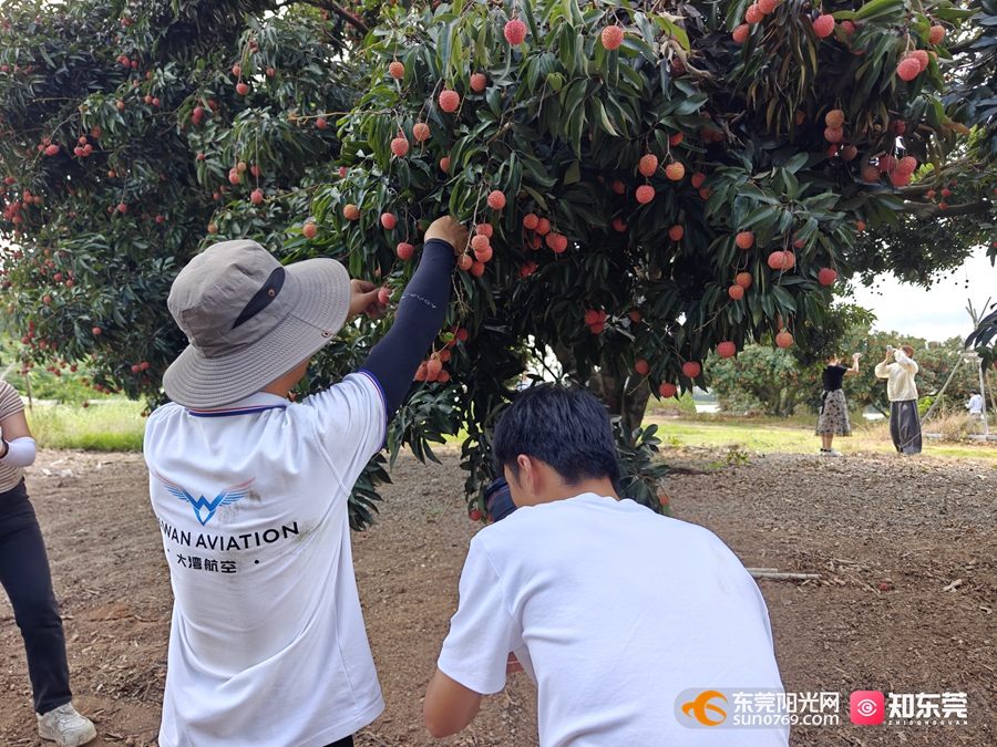 1750058390962897.jpg 1.jpg