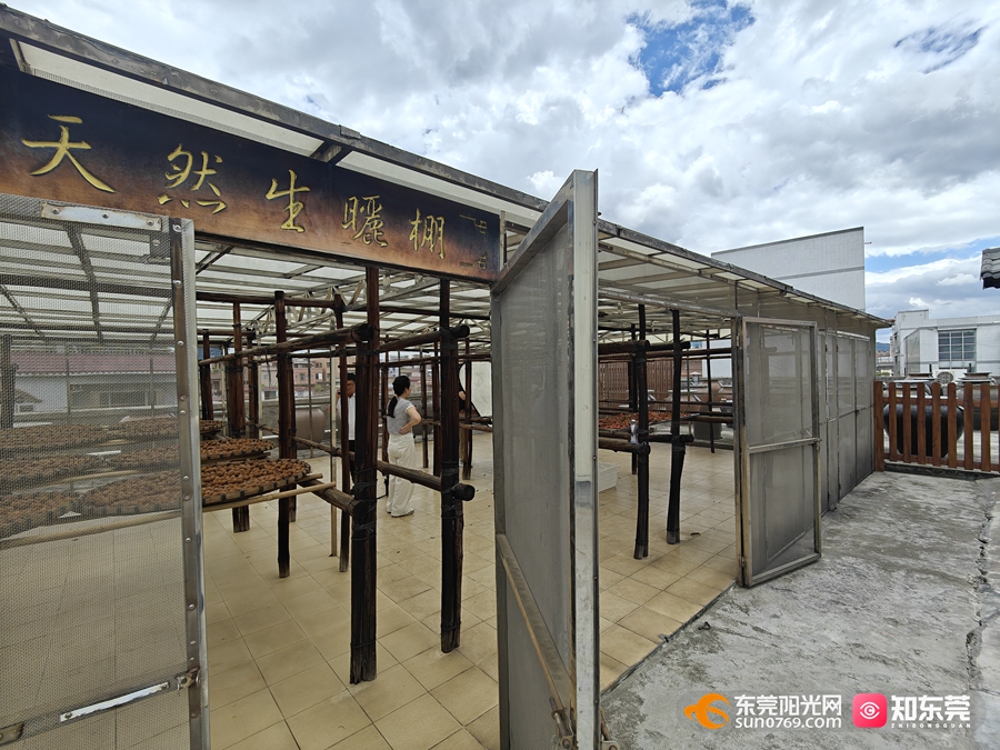 1750058431630036.jpg 11.jpg