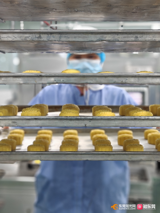 1750058572709169.jpg 16.jpg