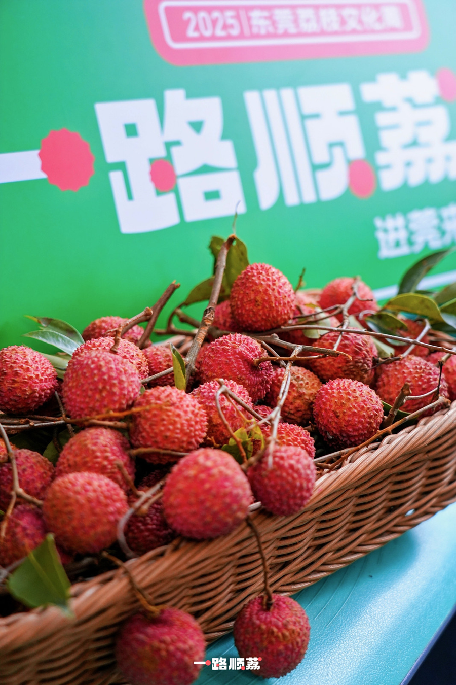 1750146102876304.png 图片 5.png