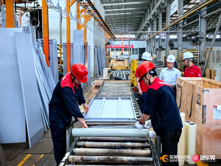 1750132862614800.jpg 3.jpg