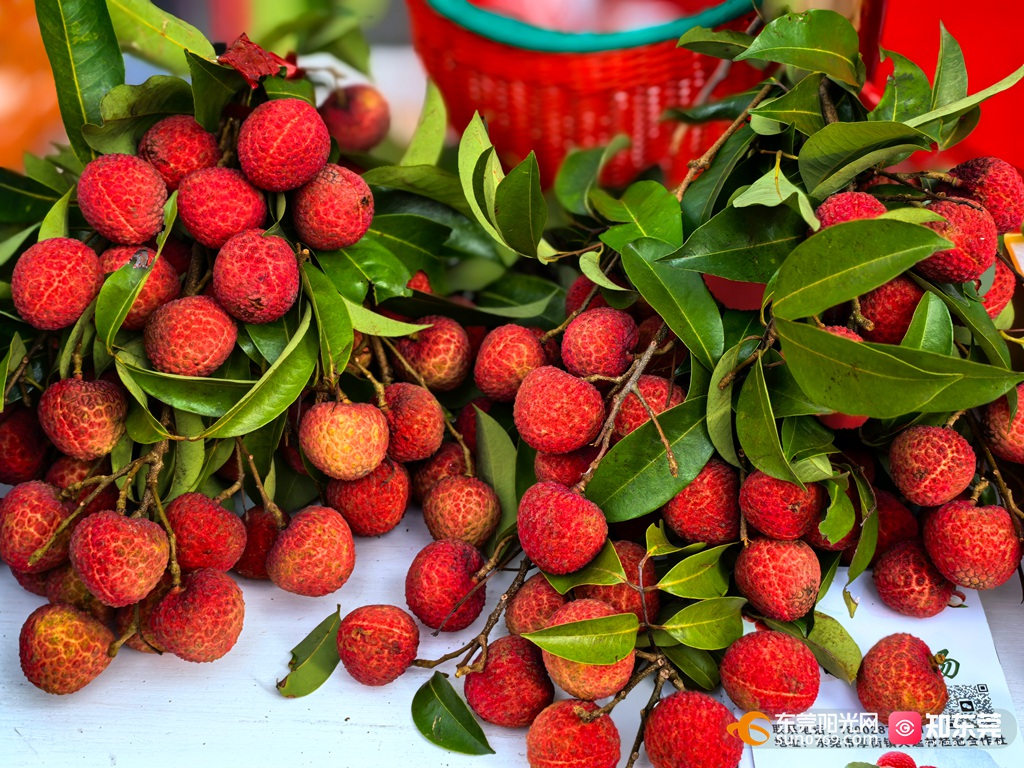 1750424088578134.jpg 微信图片_20250620204938.jpg