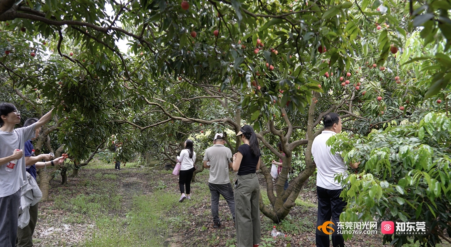 1750494993413276.jpg 1_副本.jpg