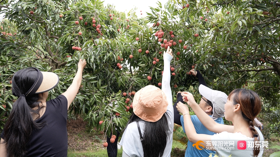 1750495134657119.jpg 2_副本.jpg