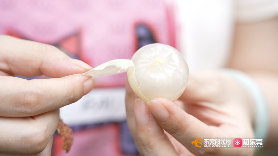 1750495391155604.jpg 4_副本.jpg