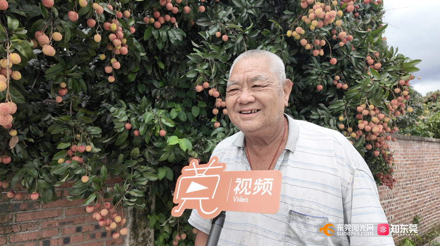 1750495273170393.png 7_副本.png