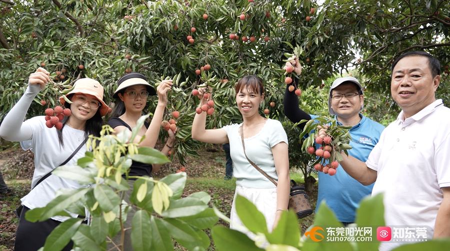 1750495249445827.jpg 3_副本.jpg