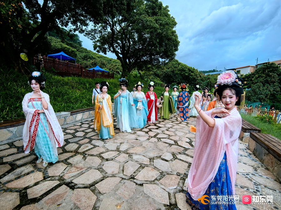 1750493261548662.jpg 2.jpg