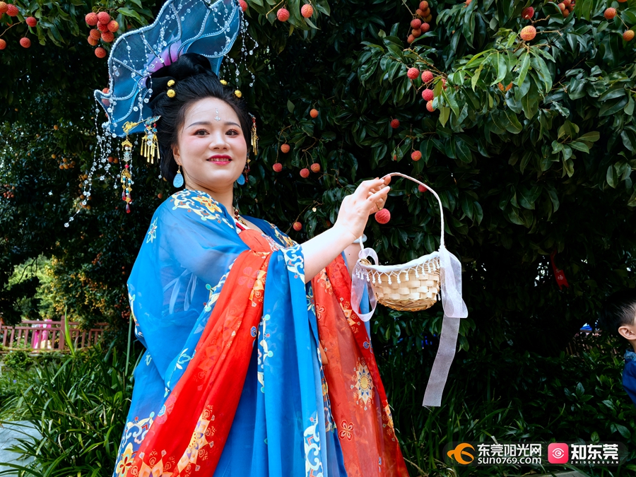 1750493283316490.jpg 4.jpg