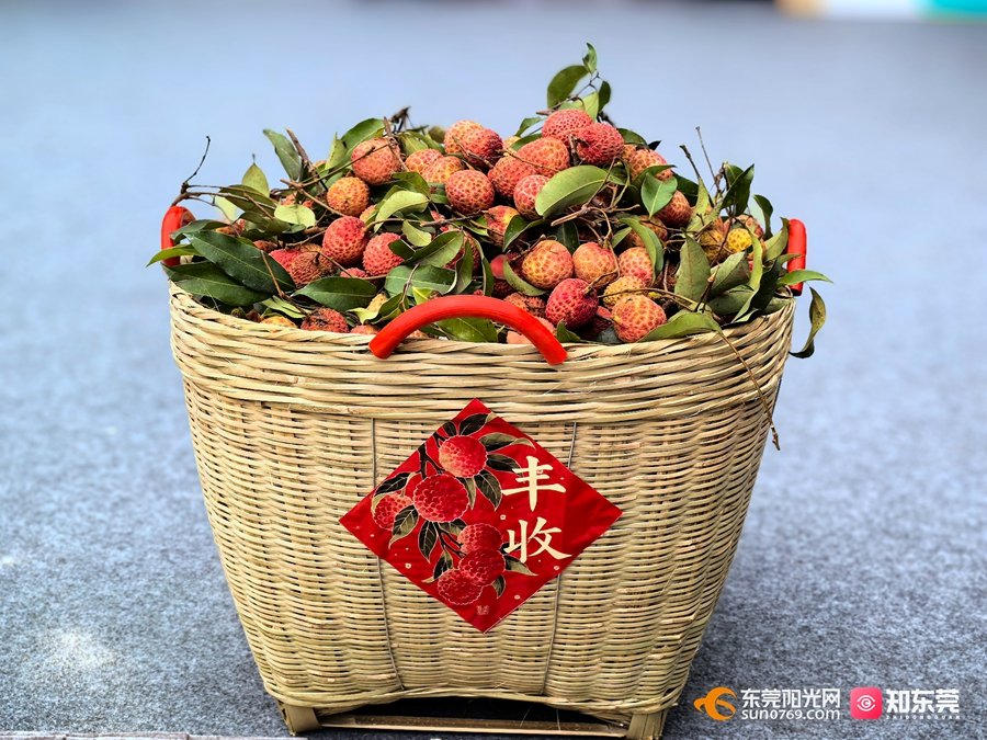 1750493395244669.jpg 6.jpg