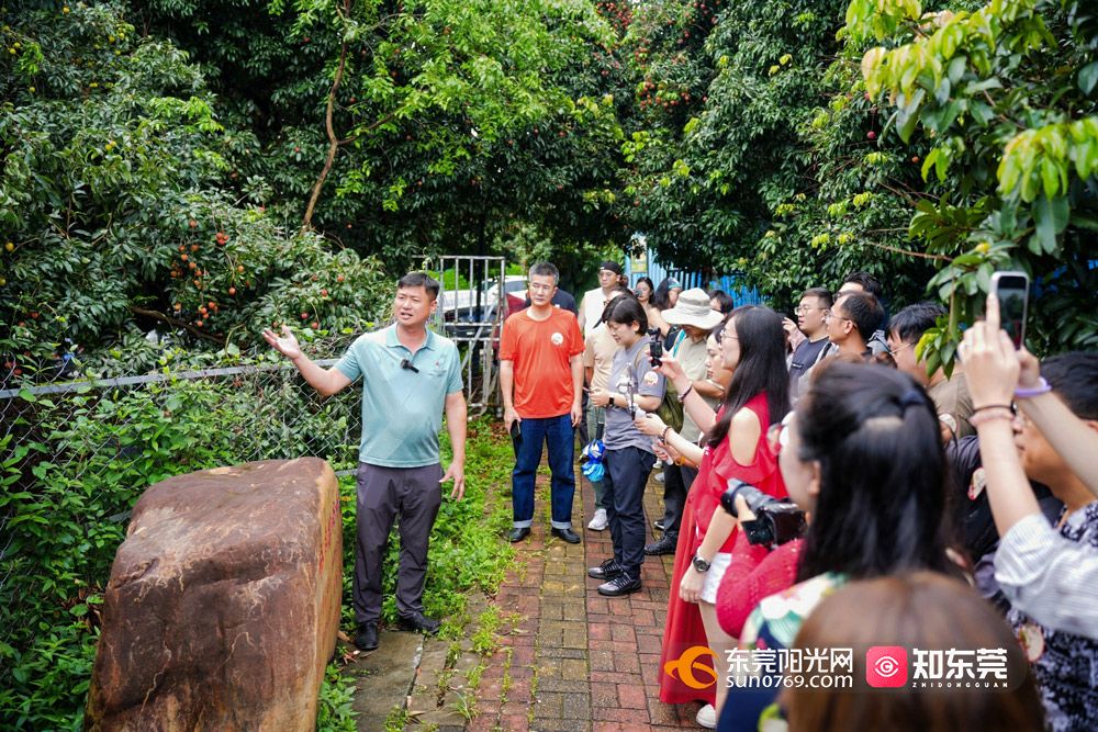 1750517109338355.jpg DSC01821-opq3745742575.jpg