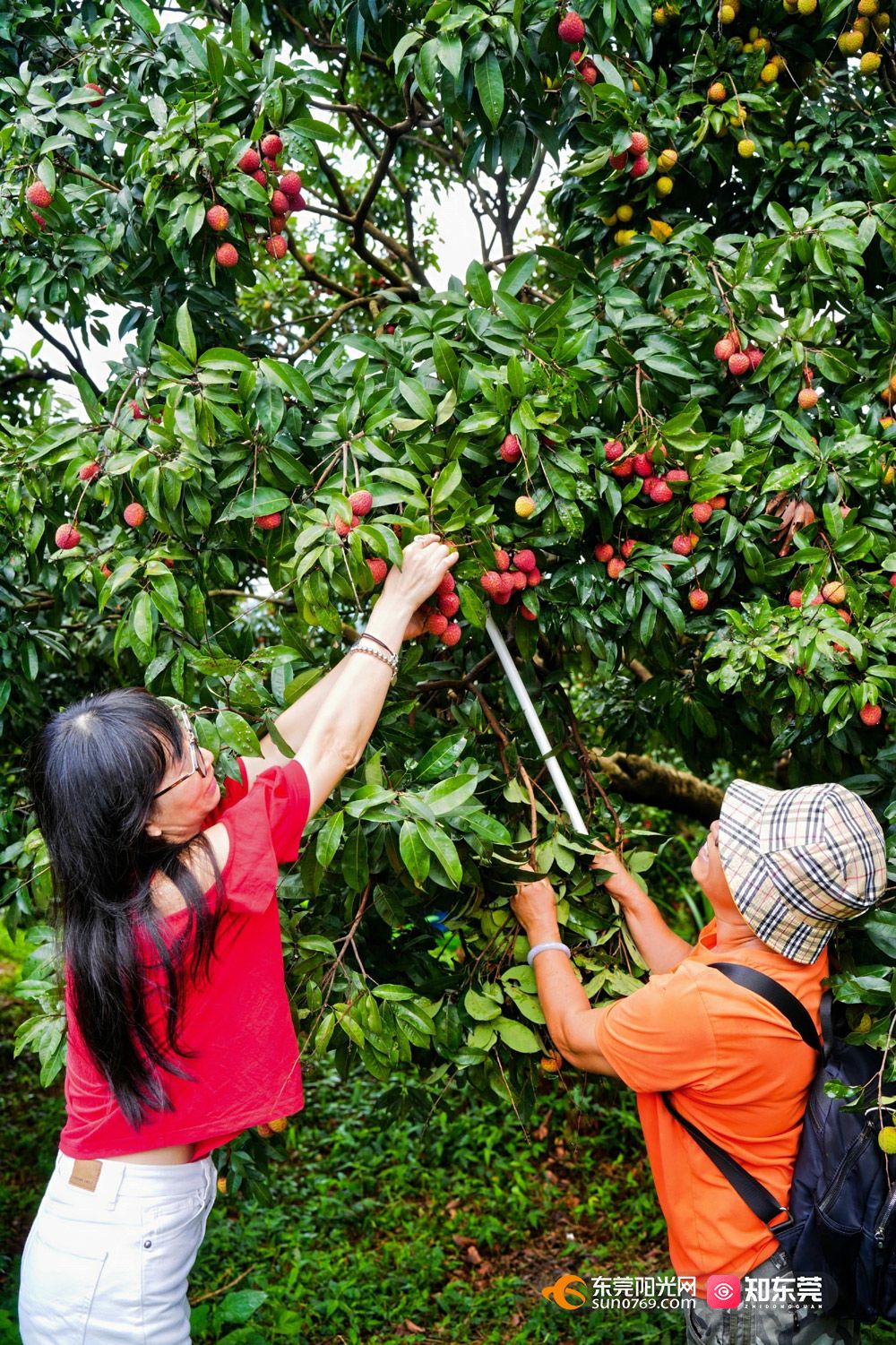 1750517276394820.jpg DSC01869-opq3742895946.jpg