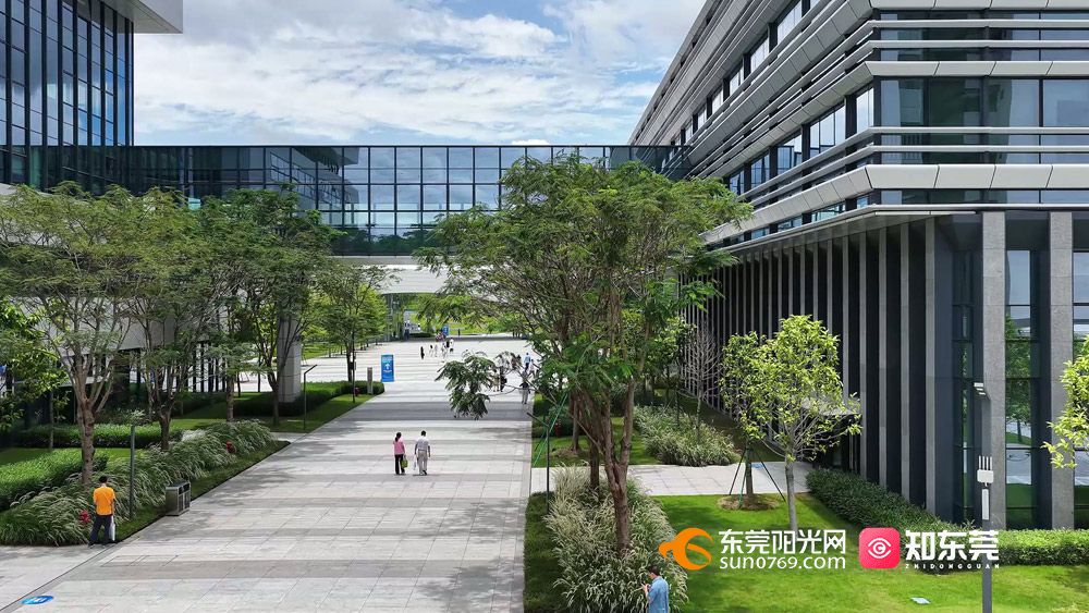 1750515298137091.jpg 11.jpg