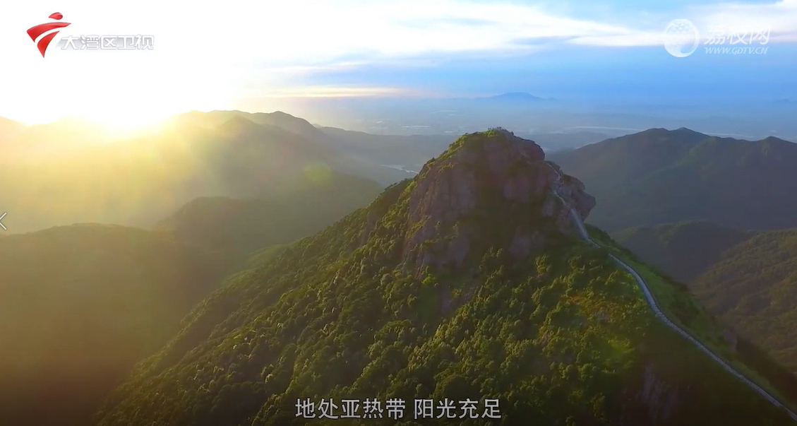 1750690130744631.png QQ20250623-224844.png