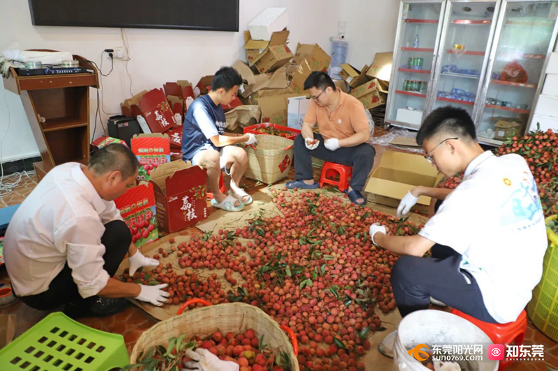 1750736561317181.jpg 202562410951.jpg