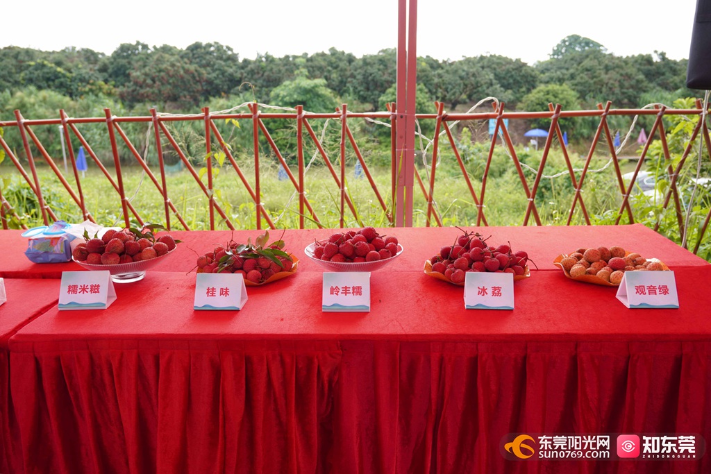 1751021723204205.jpg 微信图片_20250627173205.jpg